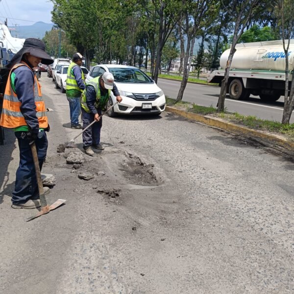 Ayuntamiento reencarpeta laterales del Periférico Paseo de la República