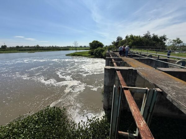 Conagua modernizará infraestructura de riego en la Ciénega