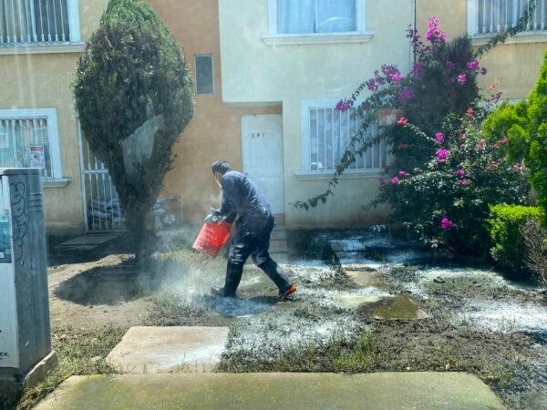 Gobierno de Morelia refuerza fumigación en Hacienda Tiníjaro