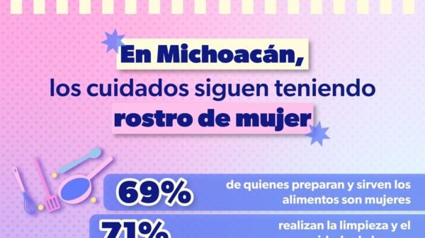 Michoacanas dedican 52 horas semanales al trabajo del hogar: Seimujer