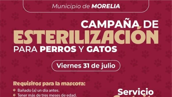 SSM abre registro para jornada de esterilización en Morelia