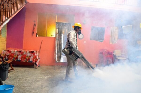 Michoacán reduce 84% casos de dengue, reconoce SSM labor de personal de vectores
