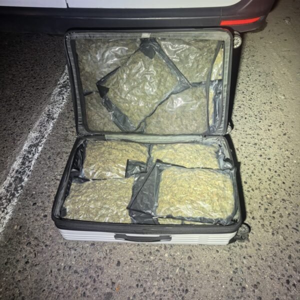 Guardianes del Camino aseguran más de 20 kg de marihuana en Lázaro Cárdenas