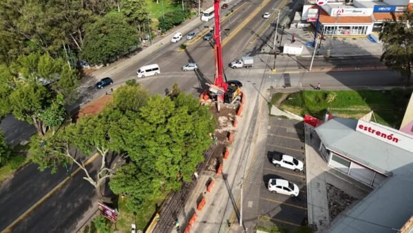 Sedum plantará 20 mil árboles con el Morebús en Morelia
