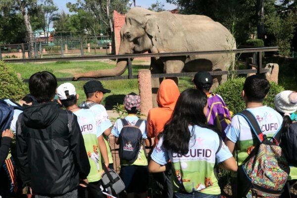 Más de mil niñas y niños participaron en cursos de verano de la Cecufid en Morelia