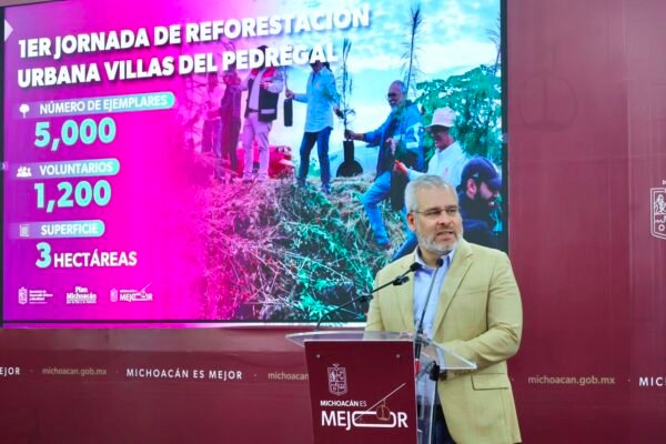 Alfredo Ramírez Bedolla asegura conservación de arbolado en Tres Puentes por obras del Morebús