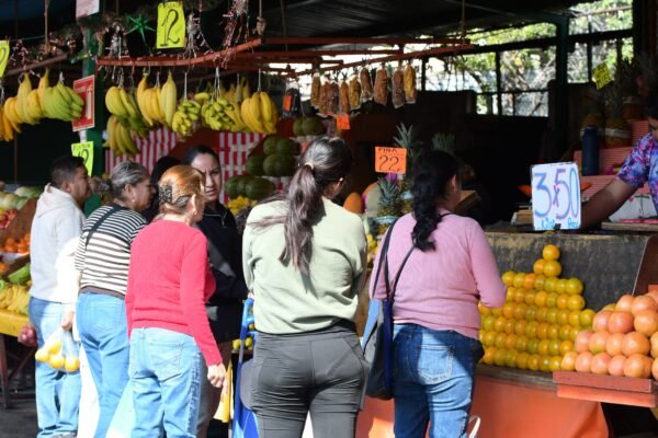 Sedeco reporta canasta básica desde 910 pesos en Michoacán; huevo y limón con precios estables