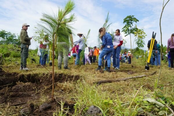 Morebús reforestará Morelia con 32 mil árboles, equivalente a 45 canchas de fútbol