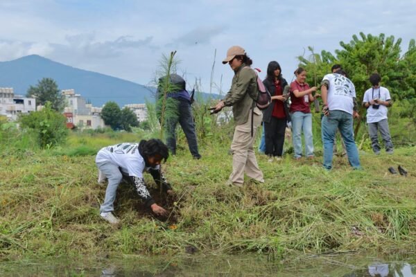 Morelia reforestará 20 mil árboles como compensación del Morebús