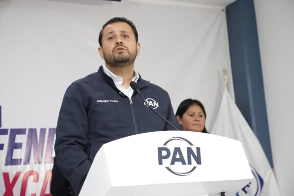 Armando Tejeda exige frenar tala de árboles por obras del Morebús