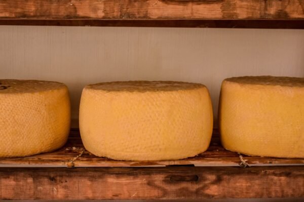 Michoacán y Uruguay fortalecen cooperación turística con Rutas del Queso