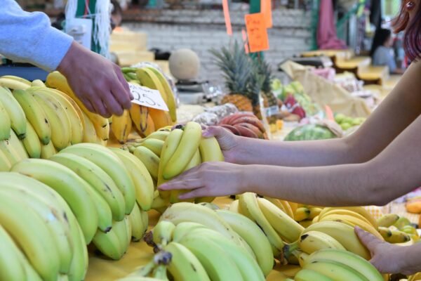 Sedeco reporta precios de canasta básica desde 876 pesos en Morelia