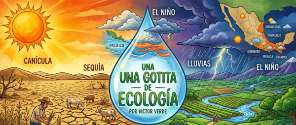UNA GOTITA DE ECOLOGIA