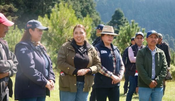 Lety Arriaga encabeza reforestación de 5 mil árboles en Ocampo tras incendio forestal
