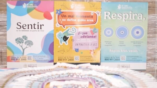 SEE distribuirá 500 mil ejemplares del ABC de las emociones en Michoacán