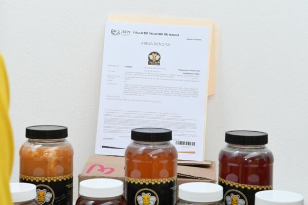 Sedeco ofrece registro de marca con 90% de descuento por 312 pesos