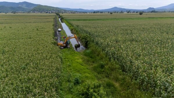 Sader limpia más de 10 kilómetros de drenes en Coeneo para proteger cultivos
