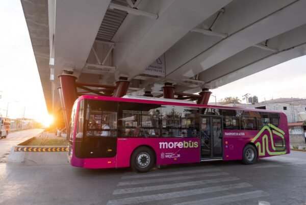 Sedebi destaca que Morebús garantizará movilidad accesible para personas con discapacidad