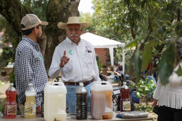 Sader reduce uso de agroquímicos en más de 62 mil hectáreas con programa Agrosano