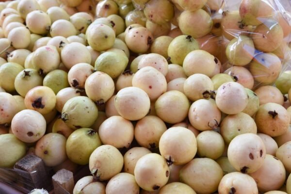Premio Michoacán al Producto de Origen busca reconocer excelencia local; convocatoria abierta hasta el 30 de septiembre