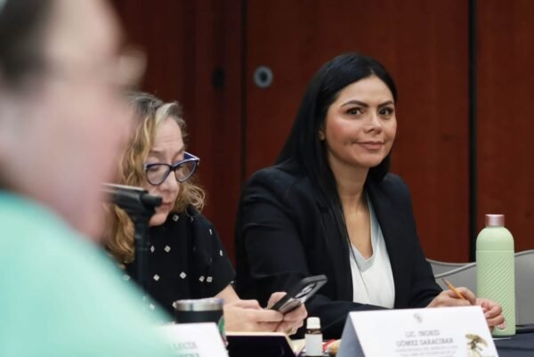 Araceli Saucedo impulsa legislación más firme contra el feminicidio
