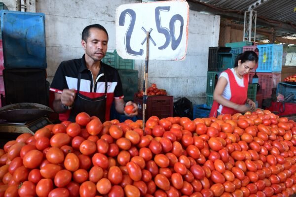 Sedeco reporta canasta básica en 910 pesos en tiendas participantes