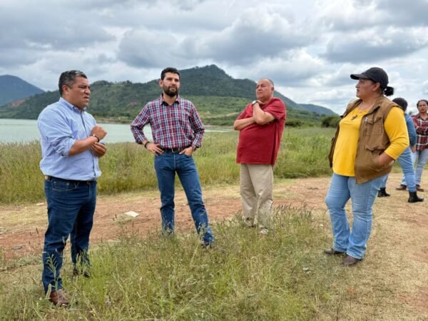 Octavio Ocampo participa en siembra de 100 mil alevines de tilapia en Presa de Zitácuaro