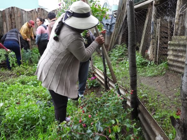 Migración y falta de relevo generacional presionan actividades productivas en el campo